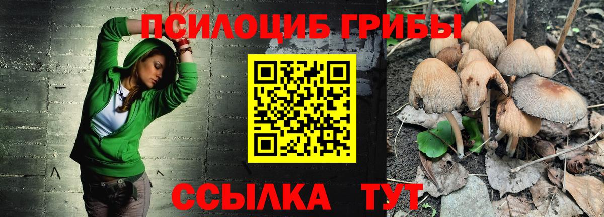 Псилоцибиновые грибы Psilocybine cubensis Ахтубинск