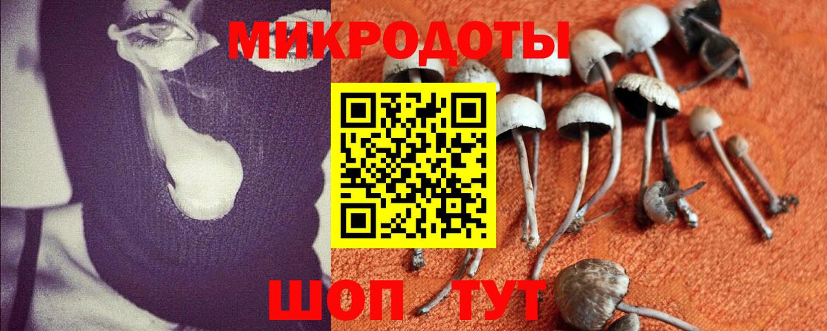 Ахтубинск  Псилоцибиновые грибы GOLDEN TEACHER  наркота  Вход с VPN 